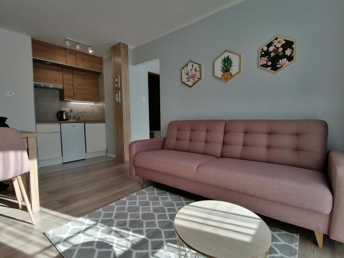 City Apartments Studio Zgorzelec Exterior foto